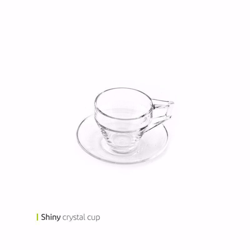 تصویر از فنجان نعلبکی شاینی 180 سی سی پاشا باغچه کد 96577mn یک عددی